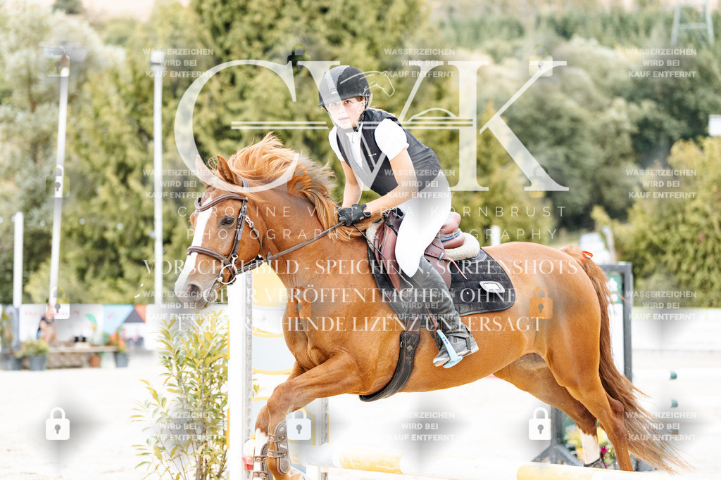 CK908224 | Turnierfotografie Pferdefotografie Trier Rheinland-Pfalz Pferdesport Reitsport Tierfotografie Sportfotografie Pferdevideo Pferdevideografie Equestrianvideography equestrianphotography  - Realisiert mit Pictrs.com