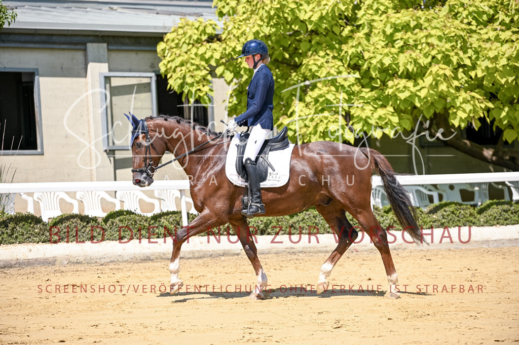 Schugtsche-Aluta25-49.Dressurpferdeprf.A-26 | Schugtsche Fotografie - Realisiert mit Pictrs.com