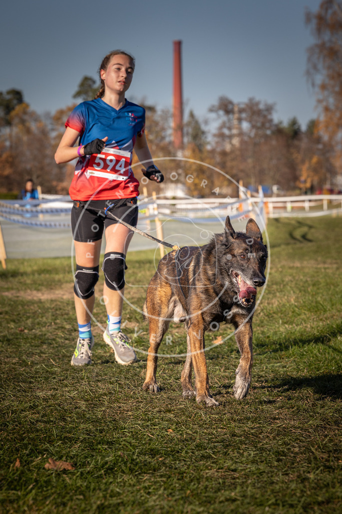 CaniXpix_0L8A8459 | Hundefotografie, Tierfotograf, Pfotenfotografie, Fotoshooting Hund, Hunde Portrait, Hundesport, Hundeportraits, Heideshooting, Hunde, Sportfotograf, Hundefotograf, Turnierhundsport, THS,  - Realisiert mit Pictrs.com