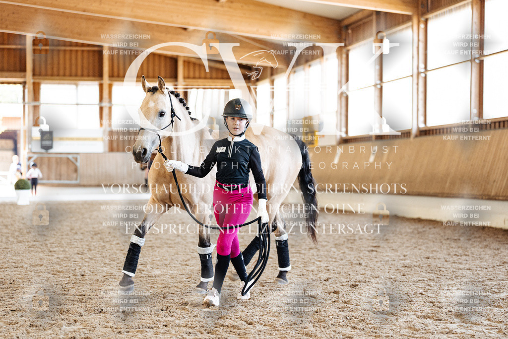 CK907188 | Turnierfotografie Pferdefotografie Trier Rheinland-Pfalz Pferdesport Reitsport Tierfotografie Sportfotografie Pferdevideo Pferdevideografie Equestrianvideography equestrianphotography  - Realisiert mit Pictrs.com