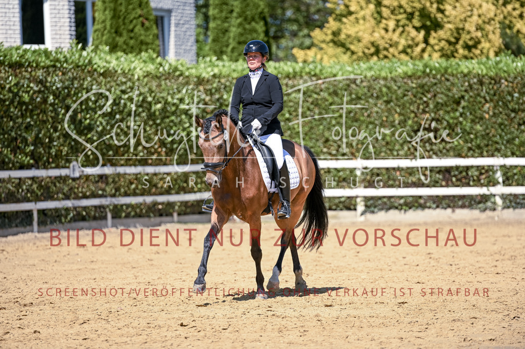 Schugtsche-Aluta25-49.Dressurpferdeprf.A-415 | Schugtsche Fotografie - Realisiert mit Pictrs.com