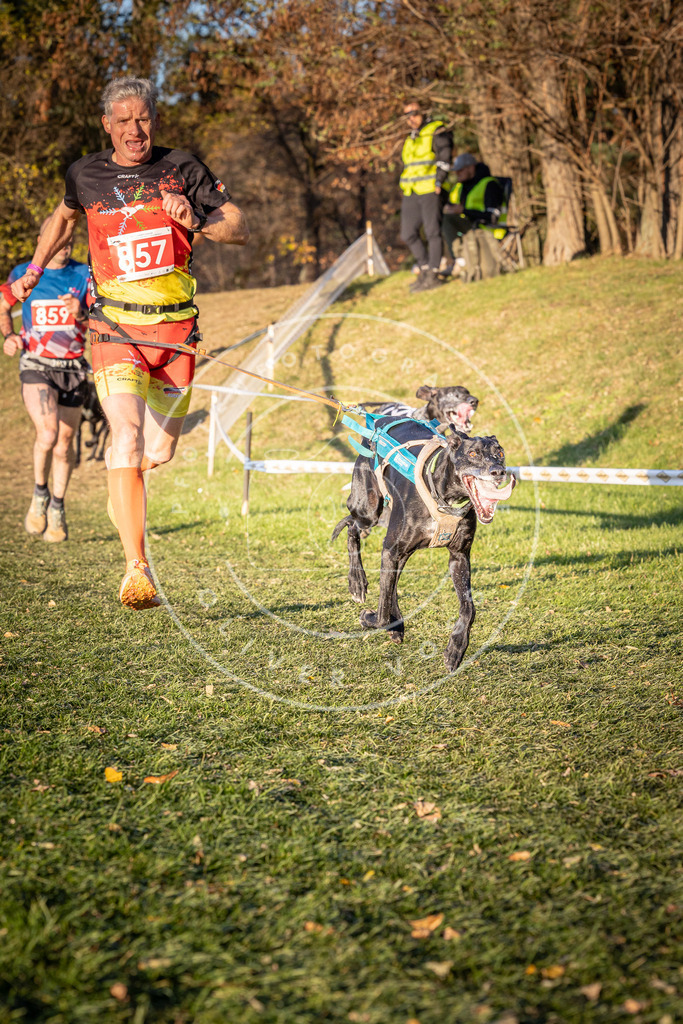 CaniXpix_0L8A0898 | Hundefotografie, Tierfotograf, Pfotenfotografie, Fotoshooting Hund, Hunde Portrait, Hundesport, Hundeportraits, Heideshooting, Hunde, Sportfotograf, Hundefotograf, Turnierhundsport, THS,  - Realisiert mit Pictrs.com