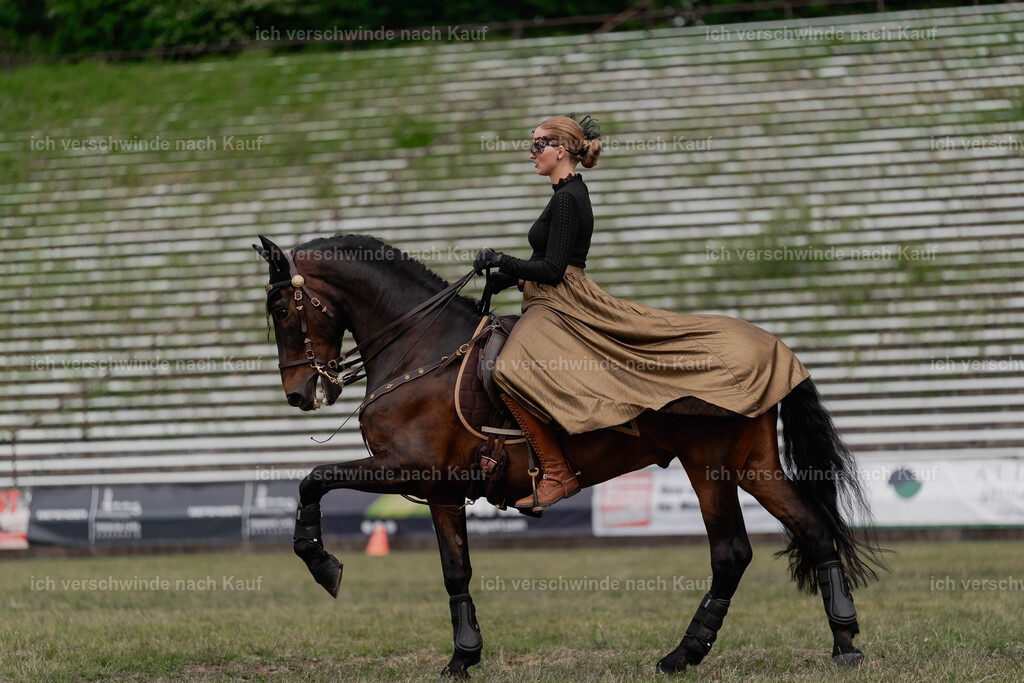 Showprogramm-438 | working equitationturnier fotograf videograf stoibphotography marixx film working equitation deutschland reitsport turnierfotografie eventfotografie equestrian events