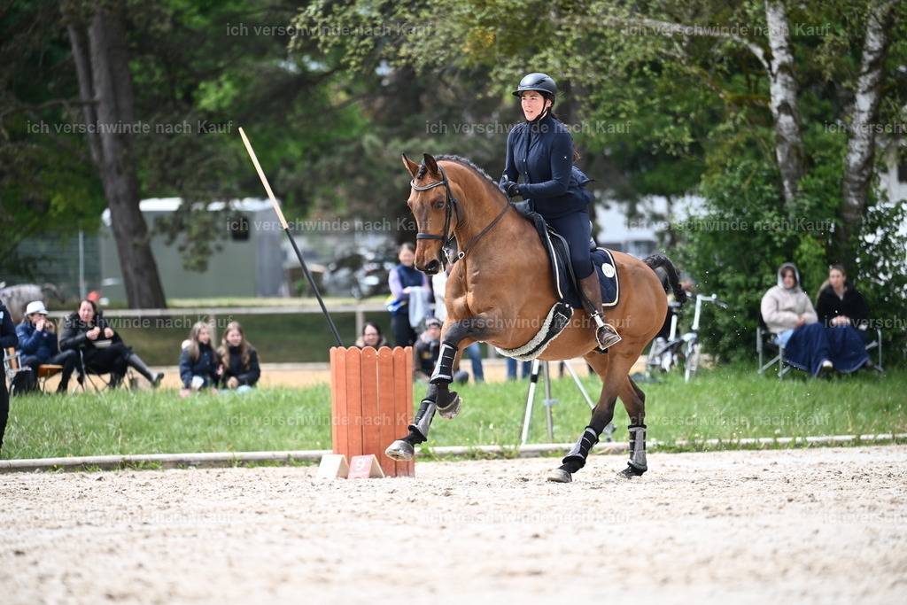 PI26_SP_Sara_Landvogt_226_5103.JPG | working equitationturnier fotograf videograf stoibphotography marixx film working equitation deutschland reitsport turnierfotografie eventfotografie equestrian events