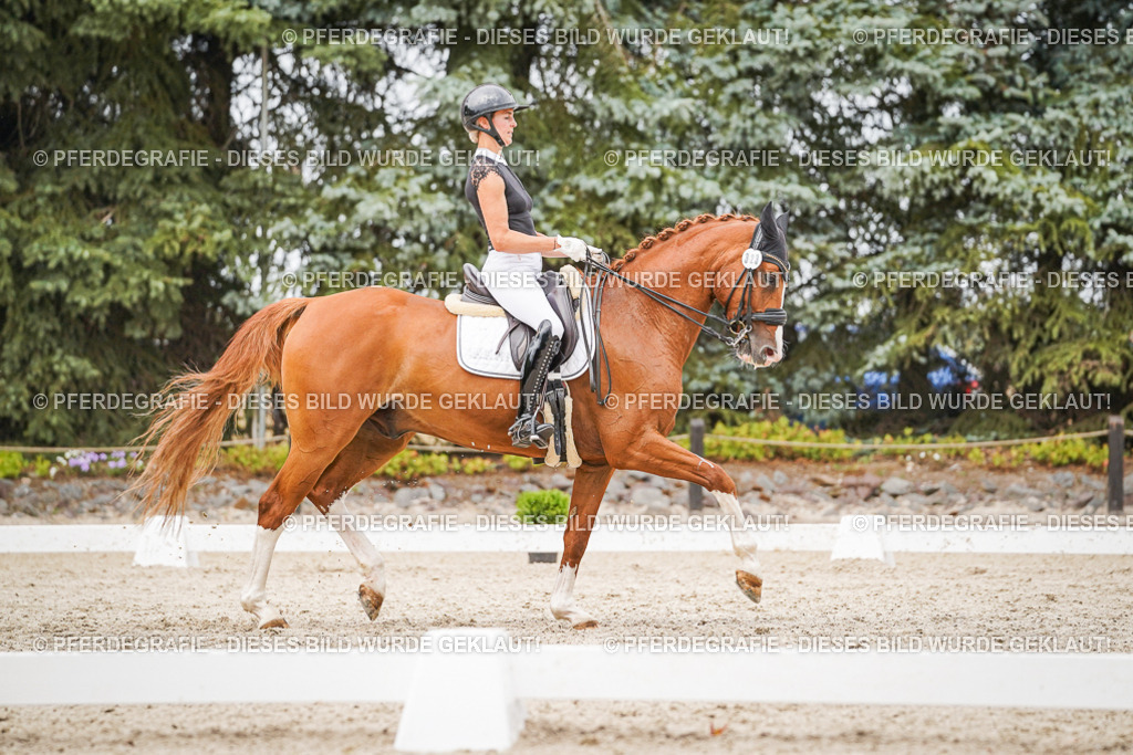 DSC07999 | Pferdegrafie