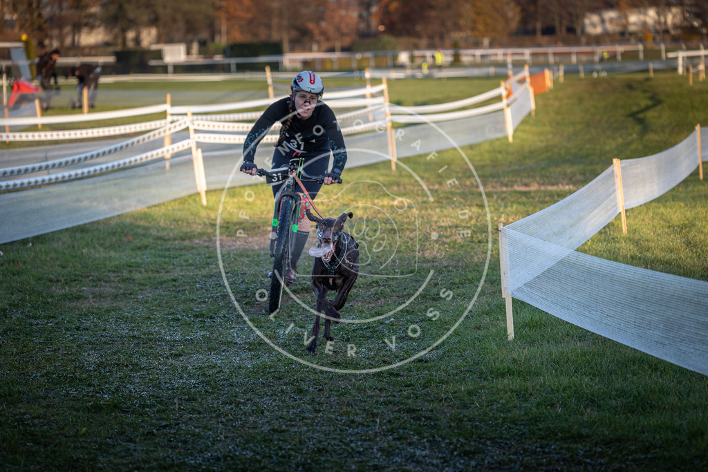CaniXpix_0L8A2145 | Hundefotografie, Tierfotograf, Pfotenfotografie, Fotoshooting Hund, Hunde Portrait, Hundesport, Hundeportraits, Heideshooting, Hunde, Sportfotograf, Hundefotograf, Turnierhundsport, THS,  - Realisiert mit Pictrs.com