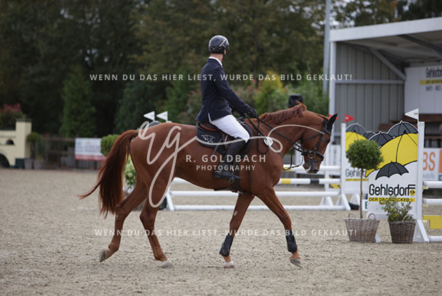 1J2A1388Brian Benedix_ Casll me Manni_ Kn1064_ Havekost | Foto- und Videografie für alles rund ums Pferd. Hochwertige Bilder und Videos vom Spring- und Dressurreiten, Voltigieren & mehr. Jetzt aktuelle Veranstaltungen und Preise im Shop ansehen. - Realisiert mit Pictrs.com