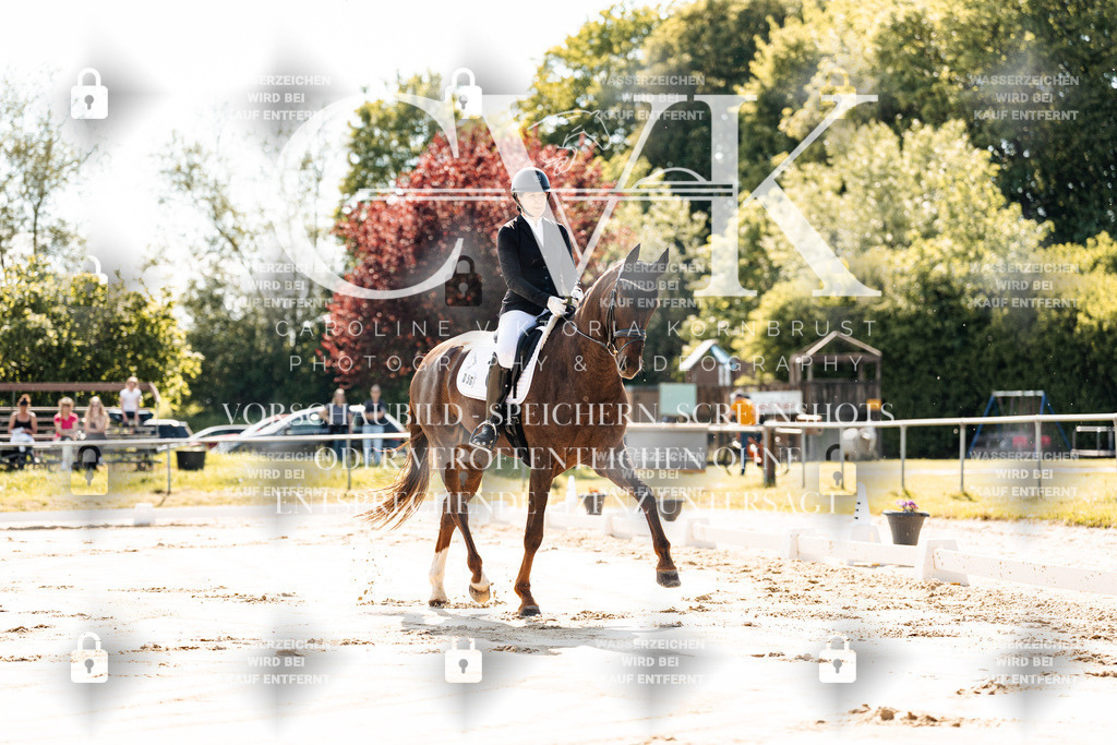 CK909128 | Turnierfotografie Pferdefotografie Trier Rheinland-Pfalz Pferdesport Reitsport Tierfotografie Sportfotografie Pferdevideo Pferdevideografie Equestrianvideography equestrianphotography  - Realisiert mit Pictrs.com