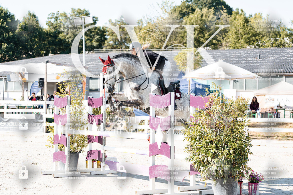 CK907500 | Turnierfotografie Pferdefotografie Trier Rheinland-Pfalz Pferdesport Reitsport Tierfotografie Sportfotografie Pferdevideo Pferdevideografie Equestrianvideography equestrianphotography  - Realisiert mit Pictrs.com