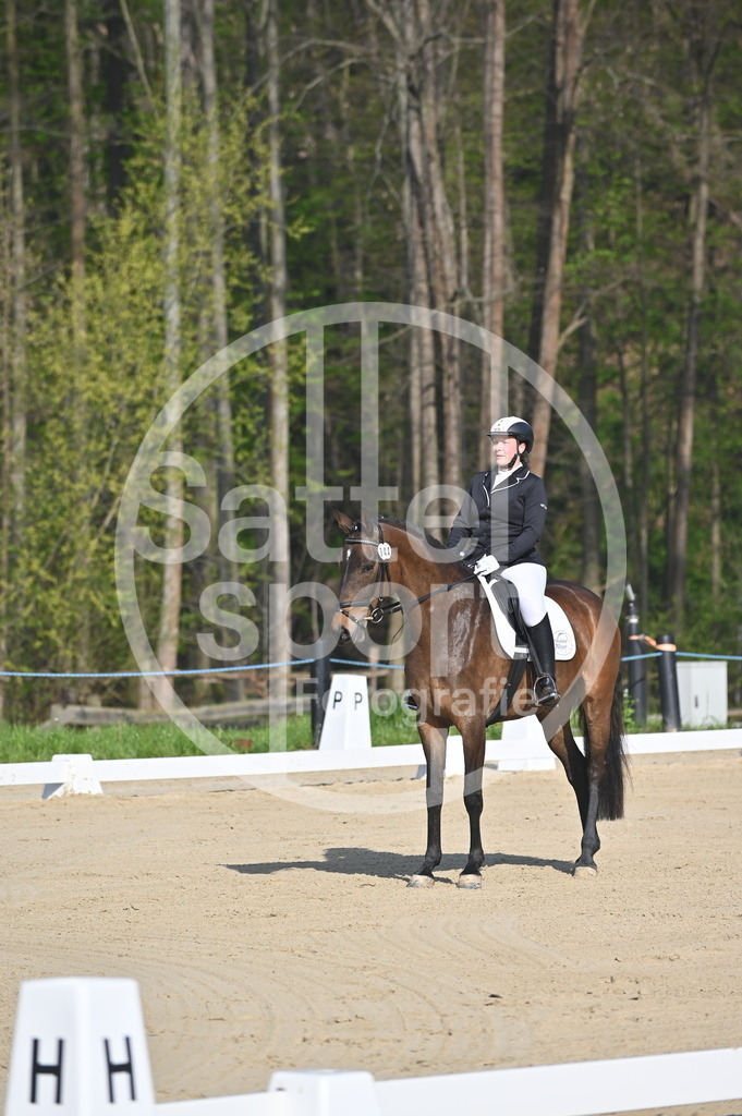 DSC_0018 | sattelsport - Realisiert mit Pictrs.com