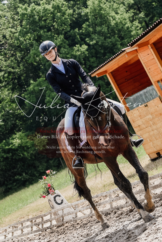DSC_0832 | Pferde- und Turnierfotografie in Westsachsen. Pferdeportraits, Auftragszeichnungen und intuitive Kunst.