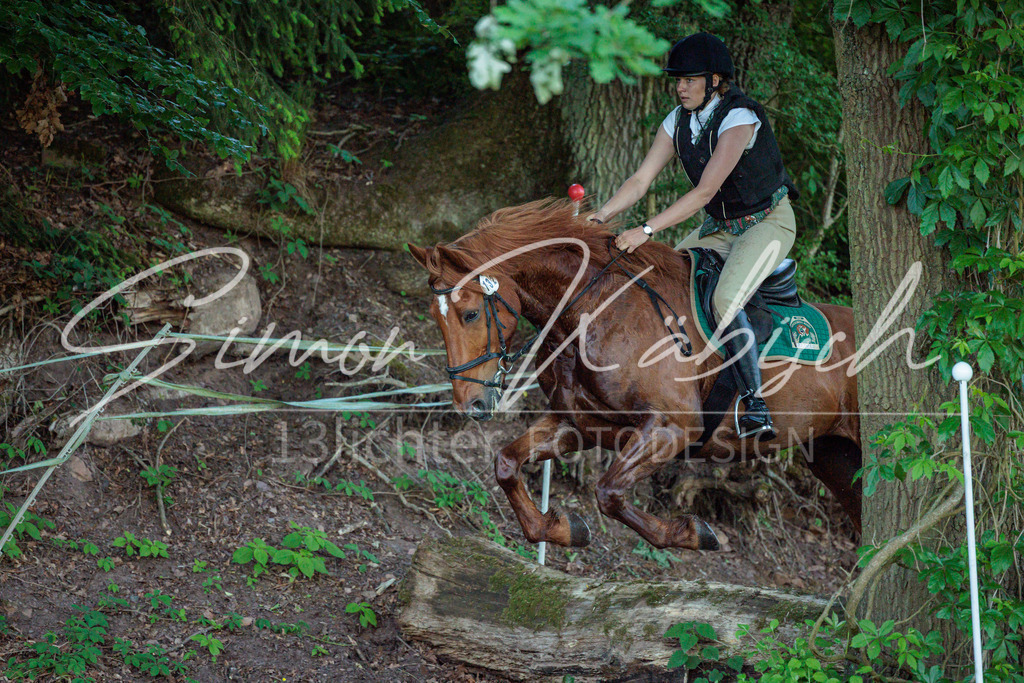 20260523-_3LI5887 | Tierfotografie Pferde, Hunde, Katzen, Haustiere.
Turnierfotografie Reitturniere, Reiten, Springreiten, Dressur in Hanau, dem Main-Kinzig-Kreis und dem Rhein-Main- Gebiet um Frankfurt