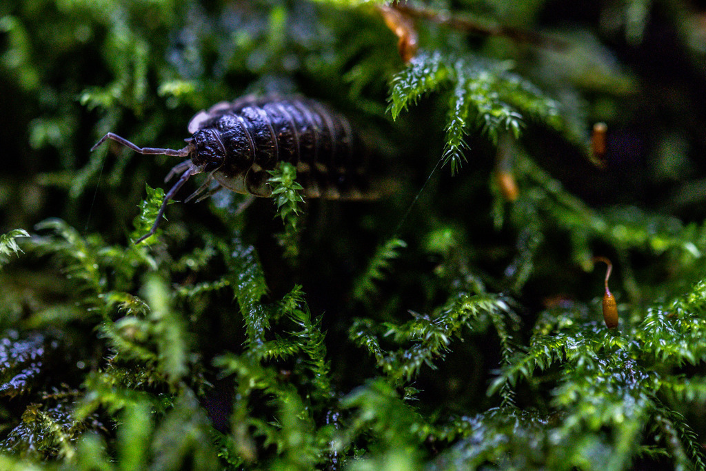 IMG_1124 | ehrlichefotos - Realisiert mit Pictrs.com