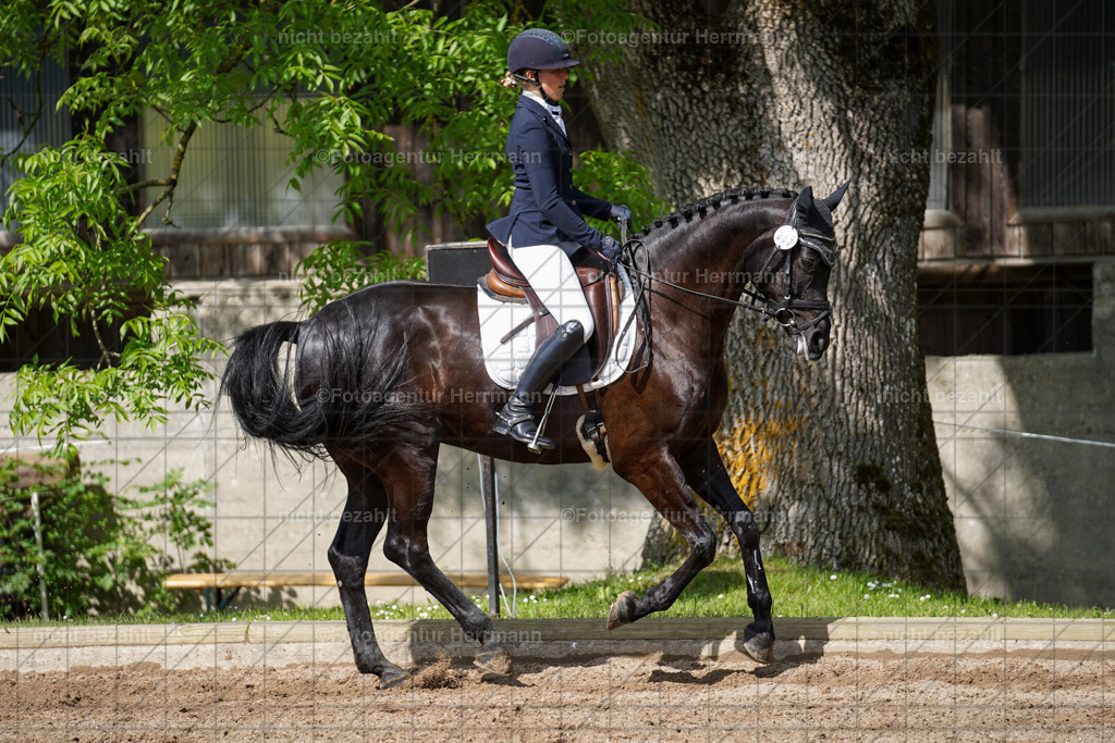 20240519-FAH04767 | Turnierbilder Niederseeon 2024, Vielseitigkeitsdressur, Reitsportbilder aus dem Landkreit Ebersberg, Gut Steinsee, RC Steinsee, Fotoagentur Herrmann