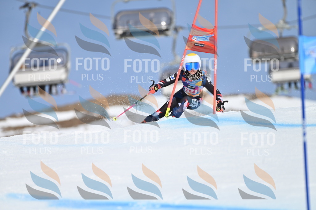 BGV_9689 | holidayphoto