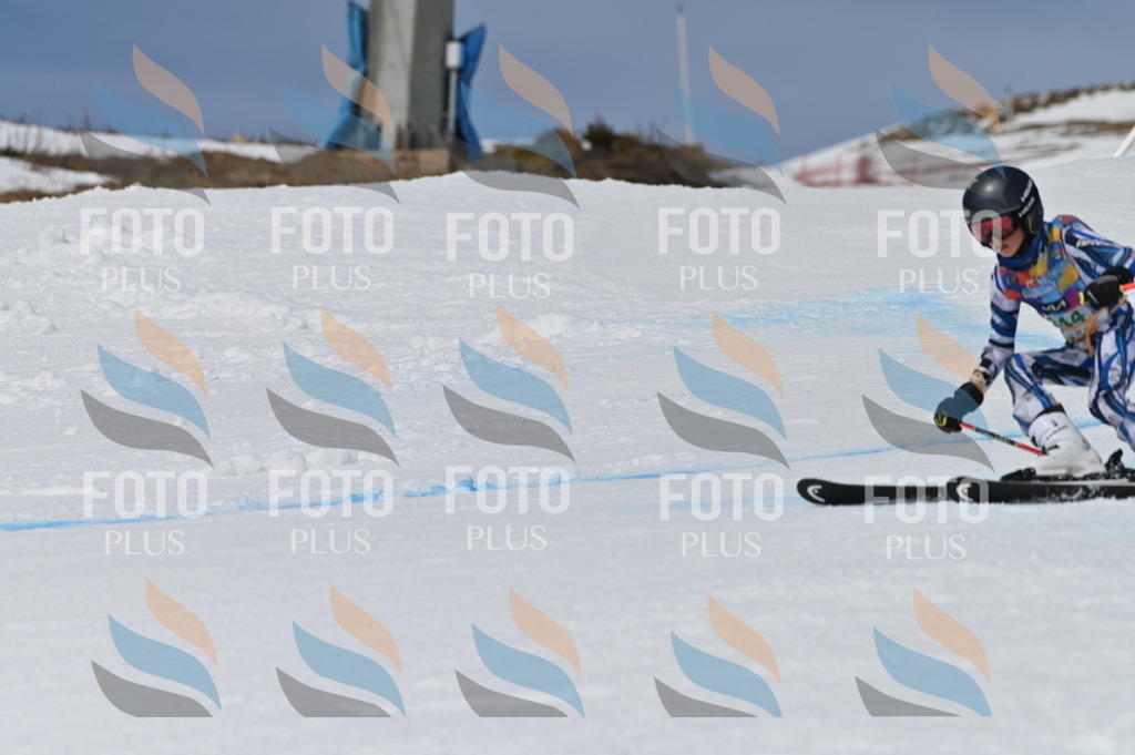 BGV_6841 | holidayphoto