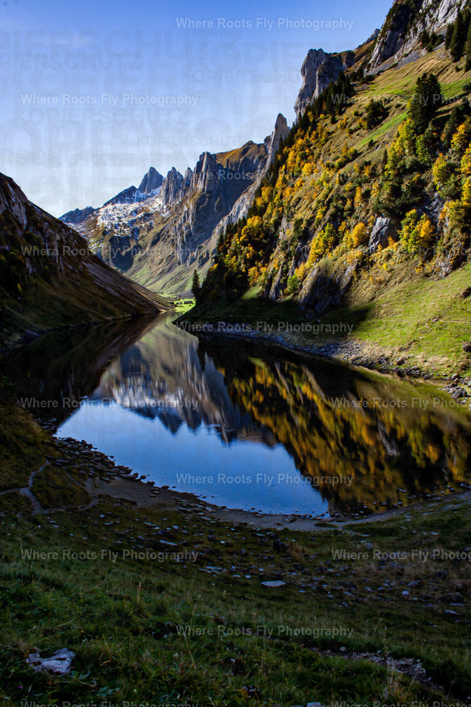 PSX_20251017_220235 | mtkfoto_ - Realisiert mit Pictrs.com