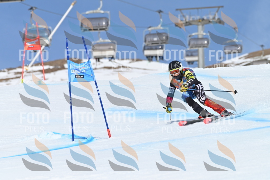 BGV_0767 | holidayphoto