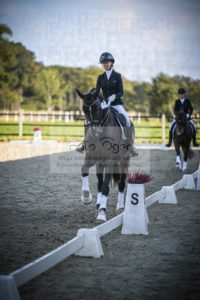 DOS_0129 | Entdecke hochwertige Reitturnierfotos von Foto Oger. Professionell, emotional und authentisch – jetzt Lieblingsmomente im Shop bestellen.Deutschlandweite Turnierfotografie. - Realisiert mit Pictrs.com