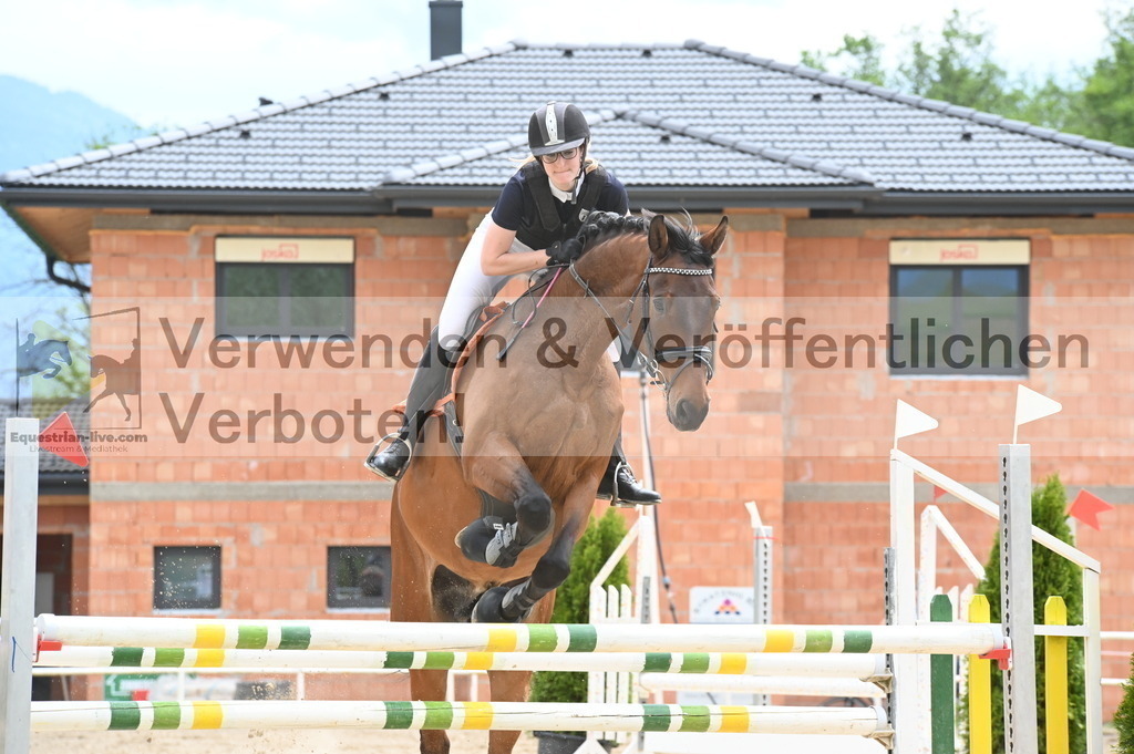 DSC_8453 | equestrian-live-com