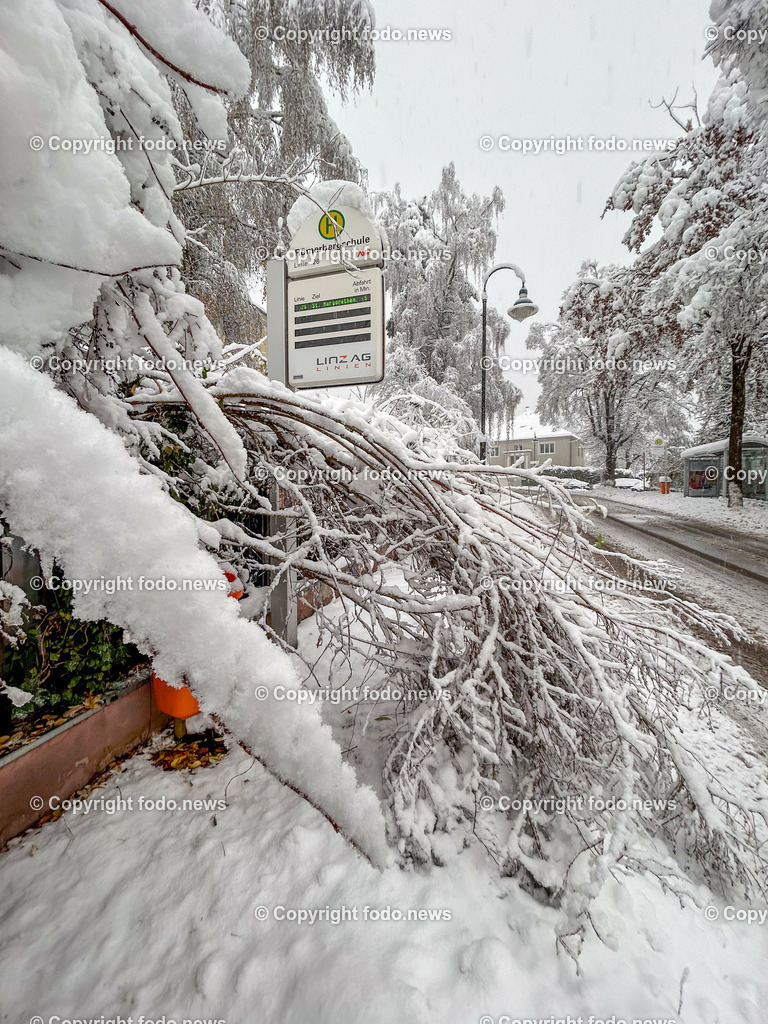 Linz_ Schnee_ 02.12.2023-41 | 02.12.2023, Linz, AUT, Schnee, im Bild Schneefall, Winter, Wintereinbruch, Weiss, Park, Schneefahrbahn, Neuschnee, umgeknickter Baum, Baeume, Straeucher, Schneelast