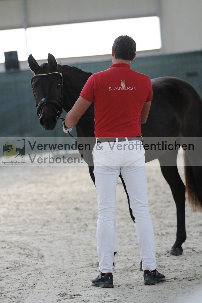 _MG_9389 | equestrian-live-com