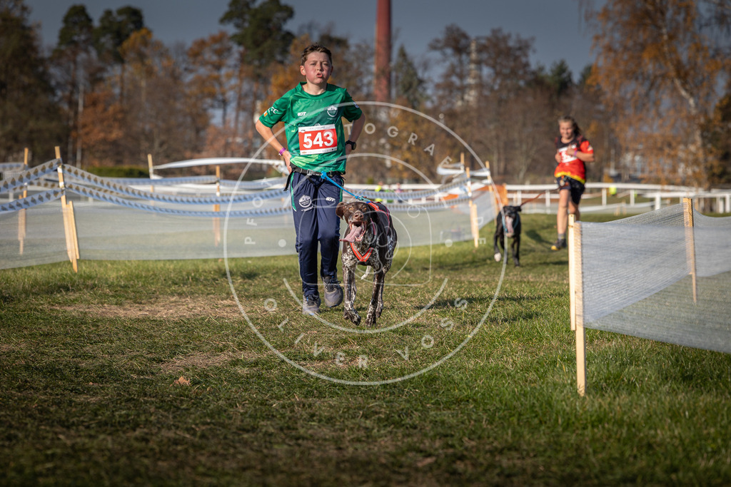 CaniXpix_0L8A8979 | Hundefotografie, Tierfotograf, Pfotenfotografie, Fotoshooting Hund, Hunde Portrait, Hundesport, Hundeportraits, Heideshooting, Hunde, Sportfotograf, Hundefotograf, Turnierhundsport, THS,  - Realisiert mit Pictrs.com