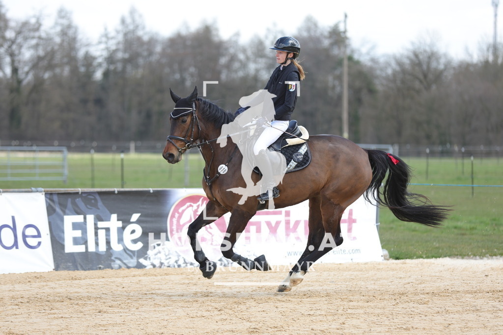 0P6A7472 | Willkommen bei Brunnmayr - Design & Fotografie – Ihrem Spezialisten für Reitturniere und Pferdeveranstaltungen in Oberösterreich, Salzburg und Bayern! Seit über 17 Jahren sind wir leidenschaftlich dabei.