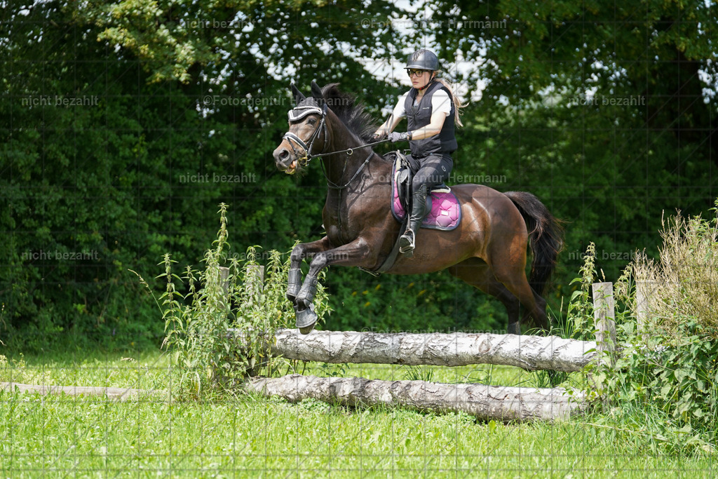 20240622-FAH07481 | Turnierfotografen Bayern, Reitsportbilder aus dem Geländekurs mit Felix Etzel auf dem Gut Waitzacker 2024