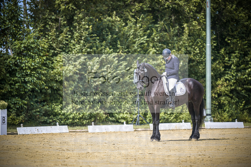 DOS_4907 | Entdecke hochwertige Reitturnierfotos von Foto Oger. Professionell, emotional und authentisch – jetzt Lieblingsmomente im Shop bestellen.Deutschlandweite Turnierfotografie. - Realisiert mit Pictrs.com