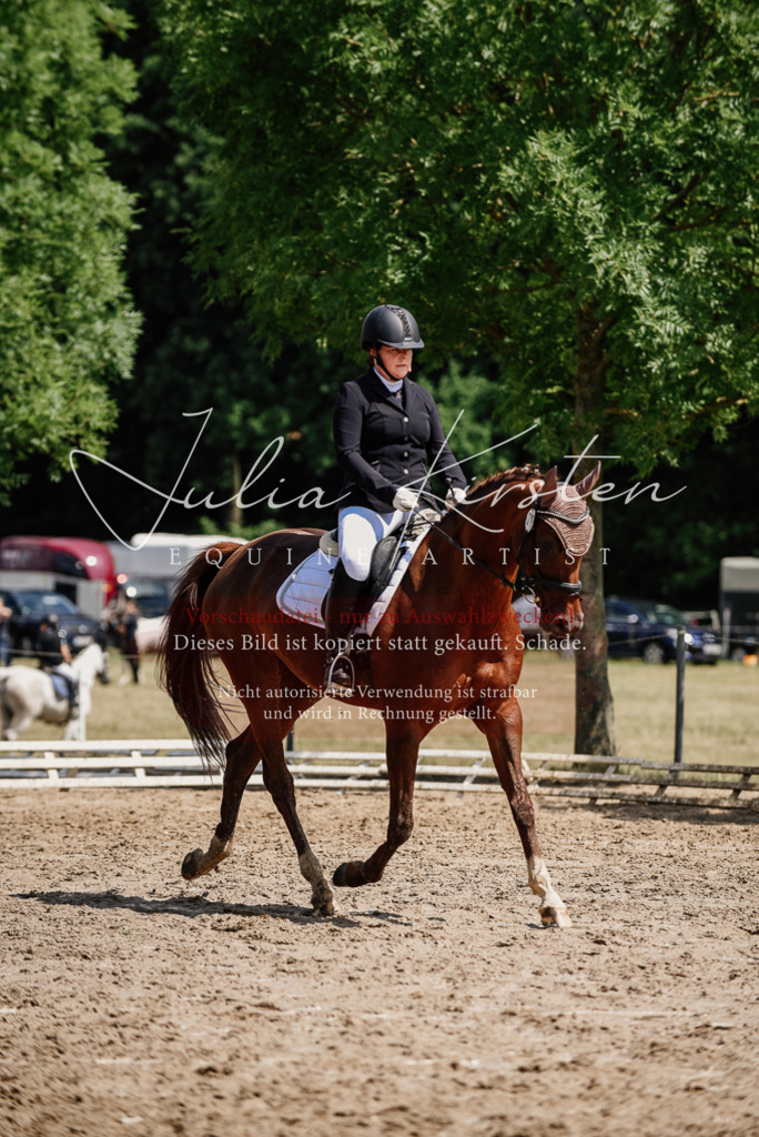 DSC_1285 | Pferde- und Turnierfotografie in Westsachsen. Pferdeportraits, Auftragszeichnungen und intuitive Kunst.