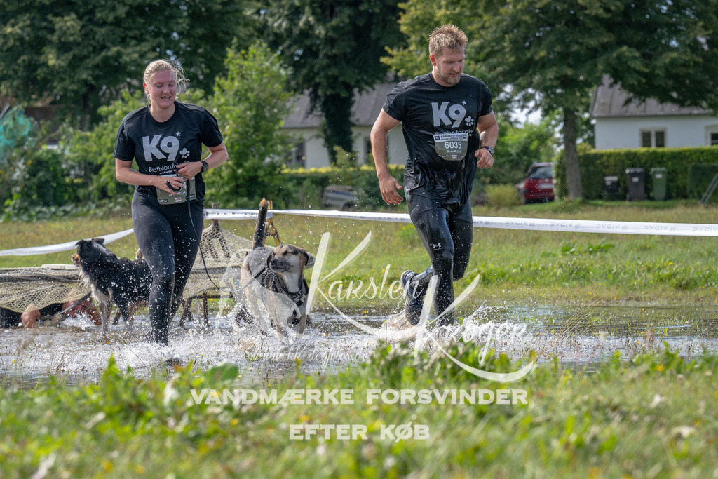 1155_ZZ90521 | kk-dogfotos