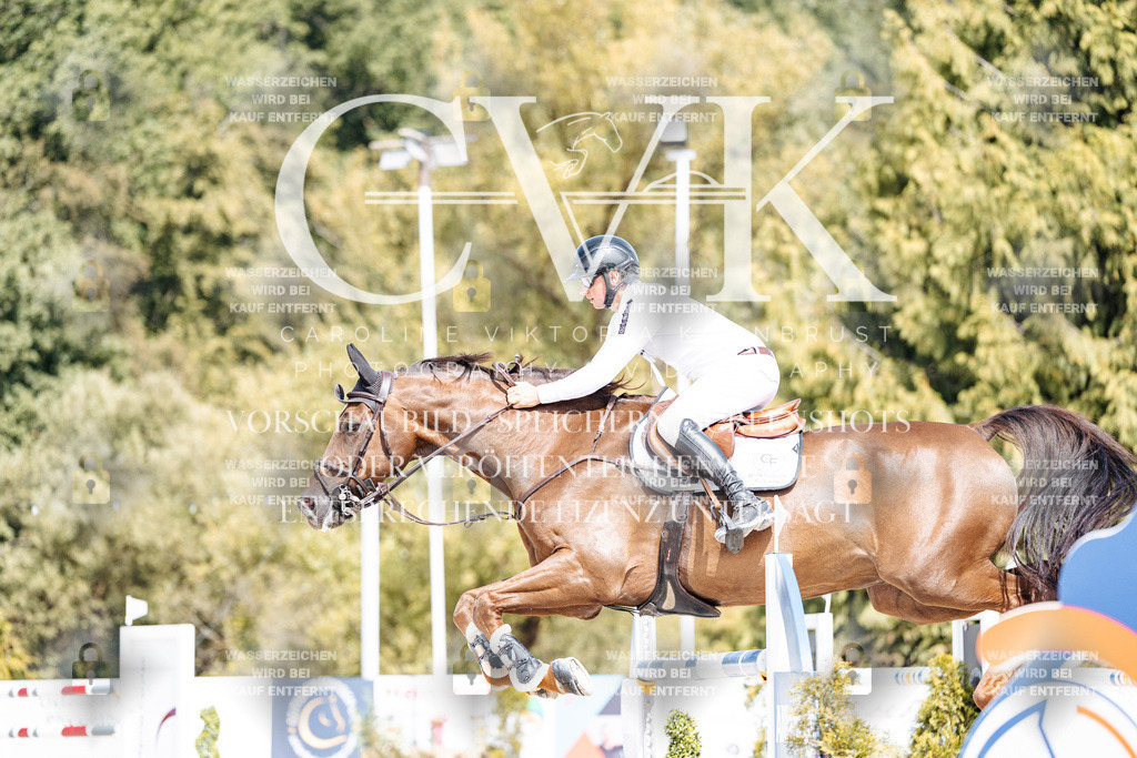 CK904979 | Turnierfotografie Pferdefotografie Trier Rheinland-Pfalz Pferdesport Reitsport Tierfotografie Sportfotografie Pferdevideo Pferdevideografie Equestrianvideography equestrianphotography  - Realisiert mit Pictrs.com