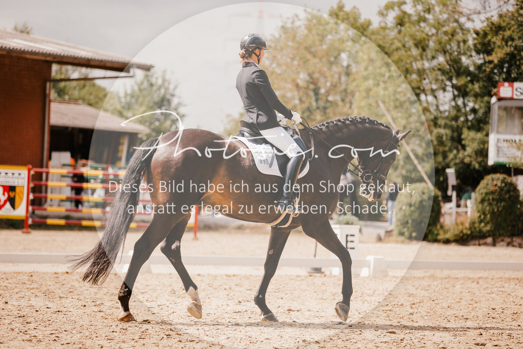 3I6A6105 | Stimmungsvolle Portraits und Reitsportfotografie im Ruhrgebiet und im Münsterland.

Pferdefotografie, Hundefotografie, Tierfotografie, Reportagen, Portraits von Tier und Mensch, Turnierfotografie in Bochum, Recklinghausen, Marl, Haltern am See, Dülmen.. - Realisiert mit Pictrs.com
