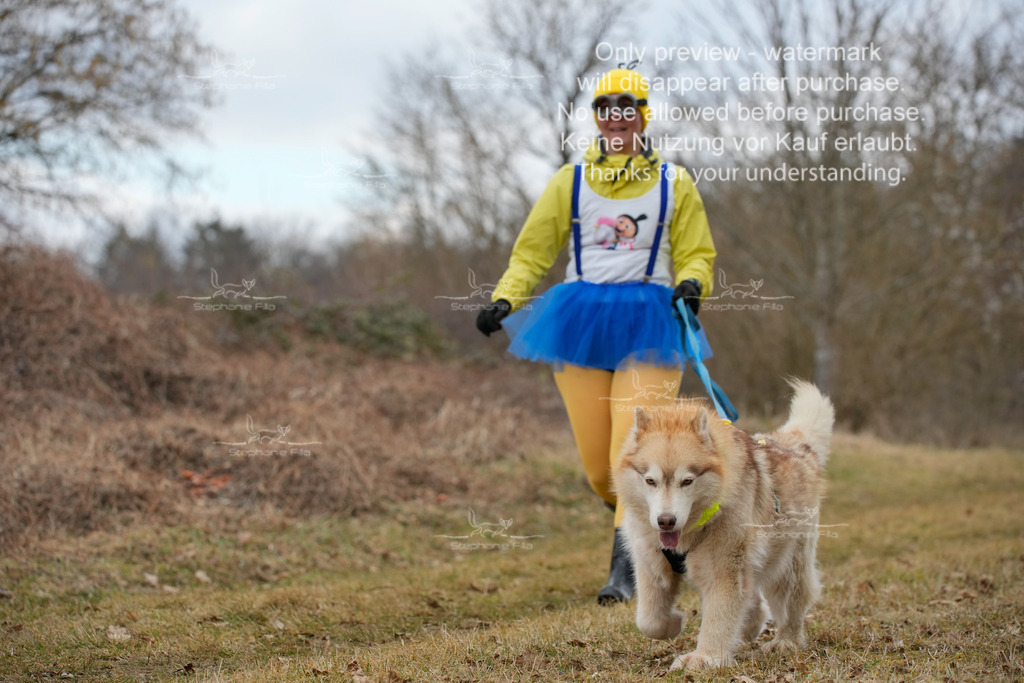 2Fasching-11 | stephaniefillaphotographie - Realisiert mit Pictrs.com