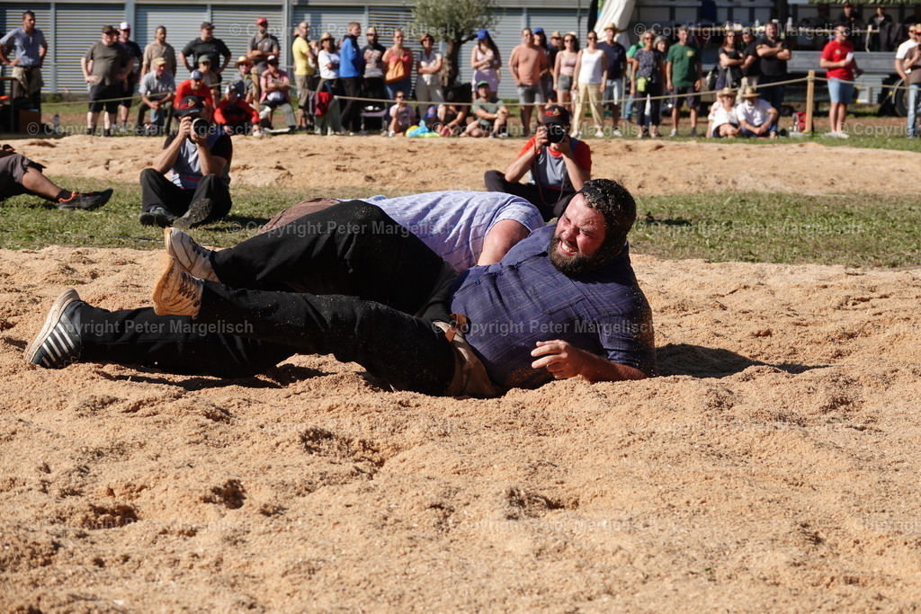 DSC01779 | Schwingen - Realisiert mit Pictrs.com