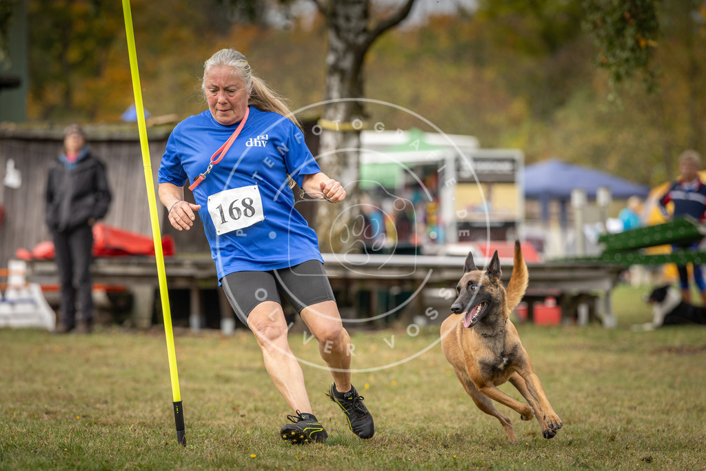 Pfotenfotografie_DV3A5592 | Hundefotografie, Tierfotograf, Pfotenfotografie, Fotoshooting Hund, Hunde Portrait, Hundesport, Hundeportraits, Heideshooting, Hunde, Sportfotograf, Hundefotograf, Turnierhundsport, THS,  - Realisiert mit Pictrs.com