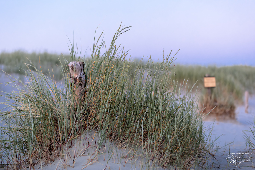 20230624-214843 NORDSEE SPO _197-1 | Herzlich willkommen auf meiner Seite! Ich bin Elke Wallnisch, Deine Fotografin für lichtstarke Momente. Der Name steht für alles, was mich mit der Fotografie verbindet: Das Licht und seine machtvolle Wirkung auf eine Situation oder unsere Stimmung - Realisiert mit Pictrs.com