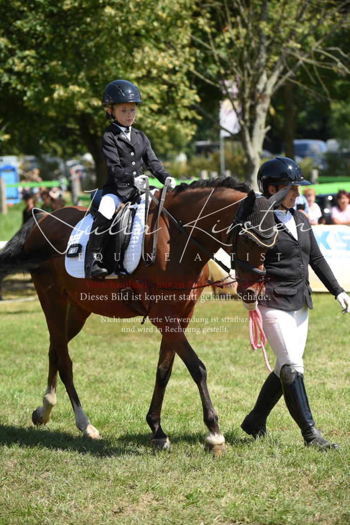 DSC_9779 | Pferde- und Turnierfotografie in Westsachsen. Pferdeportraits, Auftragszeichnungen und intuitive Kunst.