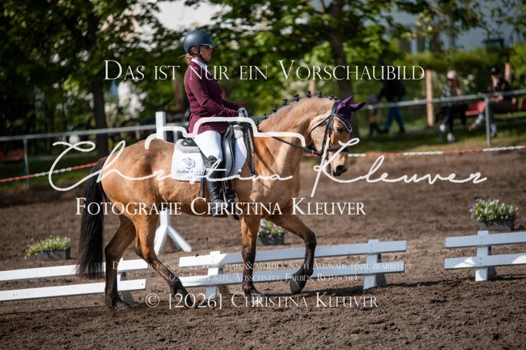 DSC_9806 | Christina-Kleuver