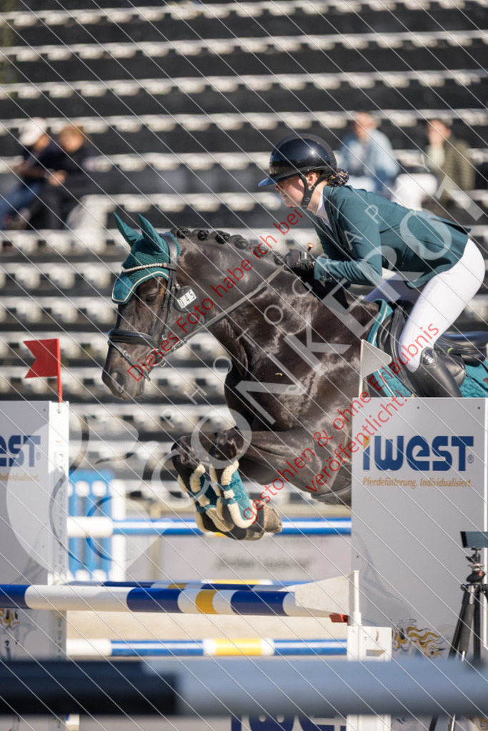 IMG_3089 | Sport-, Event- und Tierfotos in Profiqualität. Einfach auswählen, bestellen und herunterladen. Dein Moment – perfekt festgehalten.