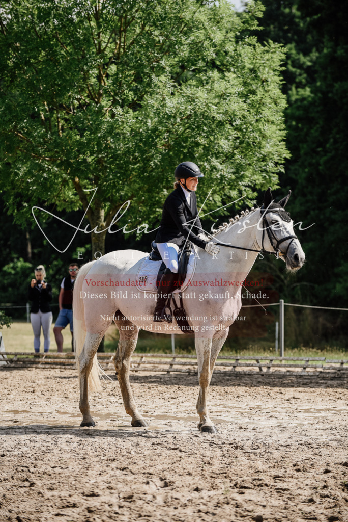 DSC_0413 | Pferde- und Turnierfotografie in Westsachsen. Pferdeportraits, Auftragszeichnungen und intuitive Kunst.
