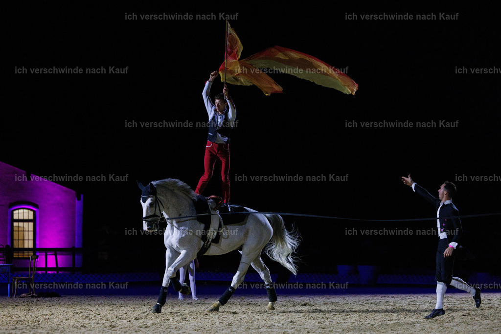 FHClassics-240 | working equitationturnier fotograf videograf stoibphotography marixx film working equitation deutschland reitsport turnierfotografie eventfotografie equestrian events