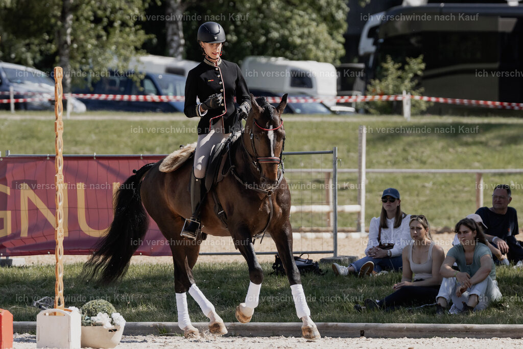 WE_Stoib_ST_330_PI2025-1 | working equitationturnier fotograf videograf stoibphotography marixx film working equitation deutschland reitsport turnierfotografie eventfotografie equestrian events