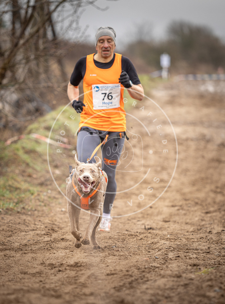 DV3A9763 | Hundefotografie, Tierfotograf, Pfotenfotografie, Fotoshooting Hund, Hunde Portrait, Hundesport, Hundeportraits, Heideshooting, Hunde, Sportfotograf, Hundefotograf, Turnierhundsport, THS,  - Realisiert mit Pictrs.com