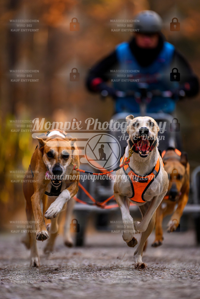 MompixPhotography_DM_AKDM_SO_2025_Wagen-42 | PayLife