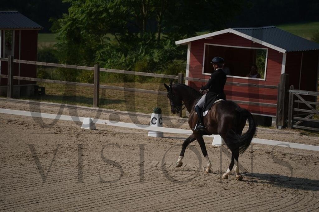 tgbhfreitag (1661) | d.tail Visions - Shop - Realisiert mit Pictrs.com