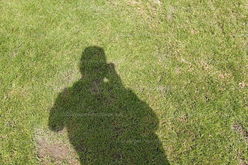 DSC04146 | Schwingen - Realisiert mit Pictrs.com