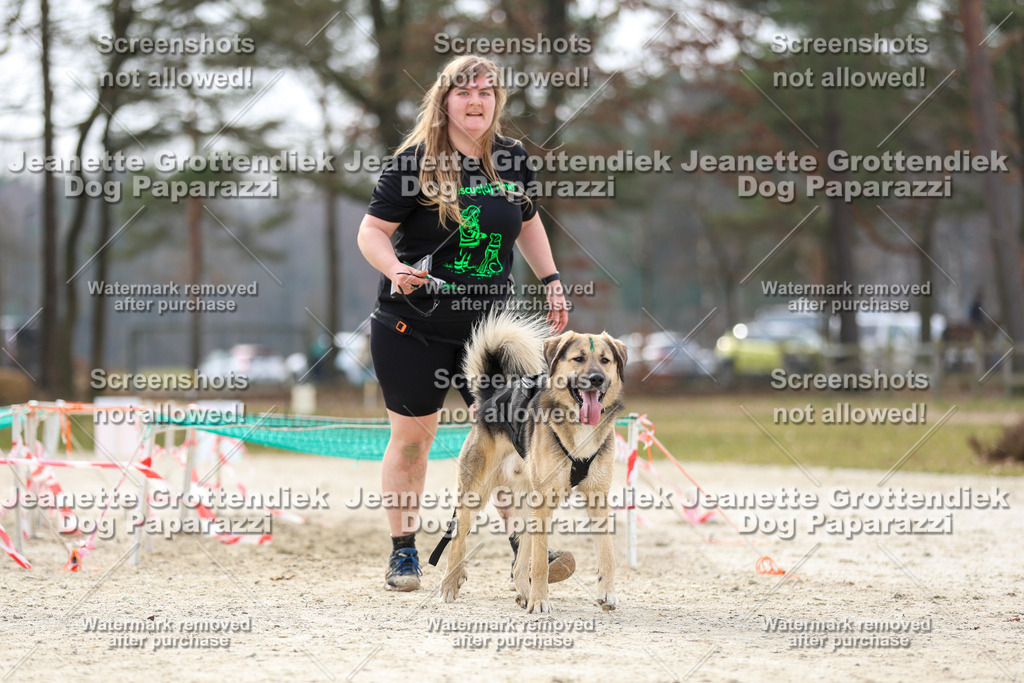 Dog Paparazzi - Strongdog North Mrz26-5784 | Dog Paparazzi Jeanette Grottendiek Fotografie & Videografie - Realisiert mit Pictrs.com