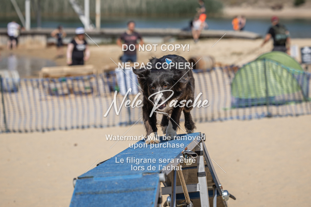 nelerasche_saBeachility_437 | nelerasche